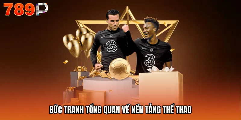 Bức tranh tổng quan về nền tảng thể thao
