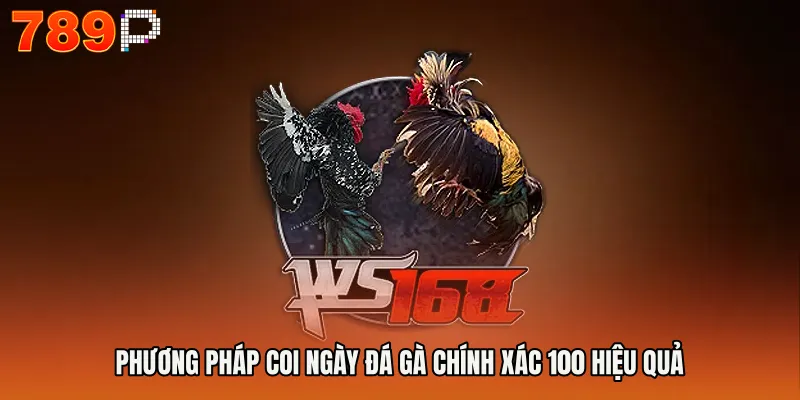 Phương pháp coi ngày đá gà chính xác 100 hiệu quả