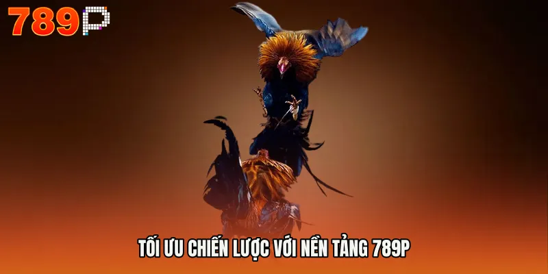 Tối ưu chiến lược với nền tảng 789P